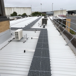 Roof Maintenance Auckland